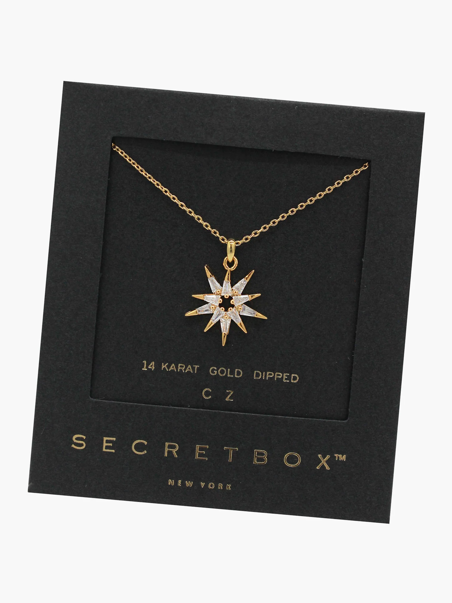 Secret Box 14K Gold Cubic Cone Necklace – Brands We Love - Image 2