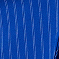 Single Breasted Pinstripe Blazer - Image 5