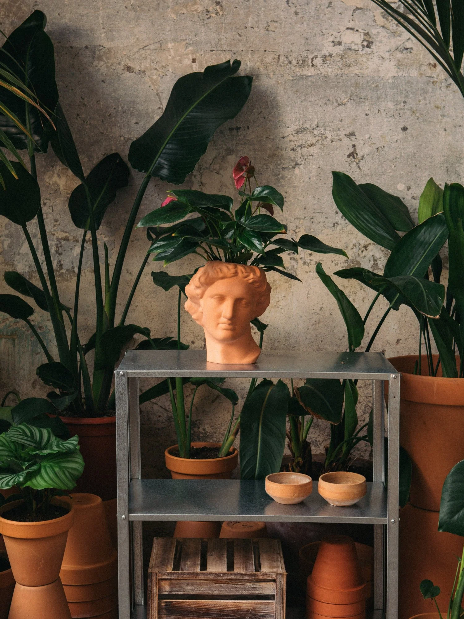 Apollo Ceramic Vase, Sugar Ginger - Doiy - Image 6