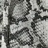 Sugarlips Balloon Sleeves Split-Neck Snake Print Blouse - Brands We Love - Image 6