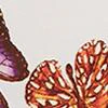 Butterfly-Print Long-Sleeve Bow-Neck Blouse - Image 4