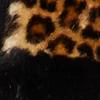 Colorblock Leopard Faux-Fur & Faux-Leather Jacket - Image 5