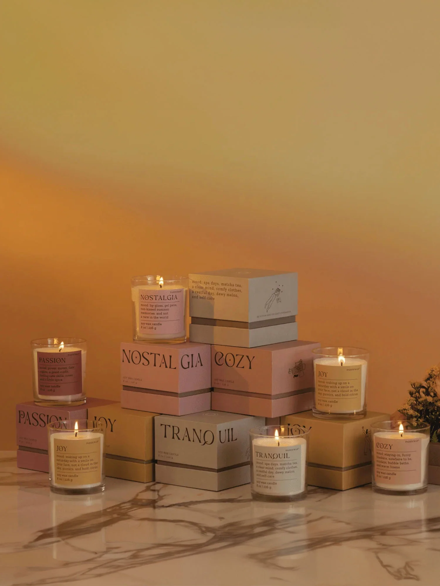 Paddywax Cozy Cashmere & French Orris Candle - Brands We Love - Image 2