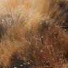 Double-Buckle Faux-Fur Slippers - Leopard-Print - Image 3