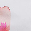 Floral Button-Front Secret Snap - NY&C Madison Shirt® - Image 4