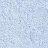 Fuzzy Zip-Front Hoodie - Ultra Cozy Collection - Image 13