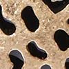 Goldtone Leopard-Print Drop Earring - Image 2