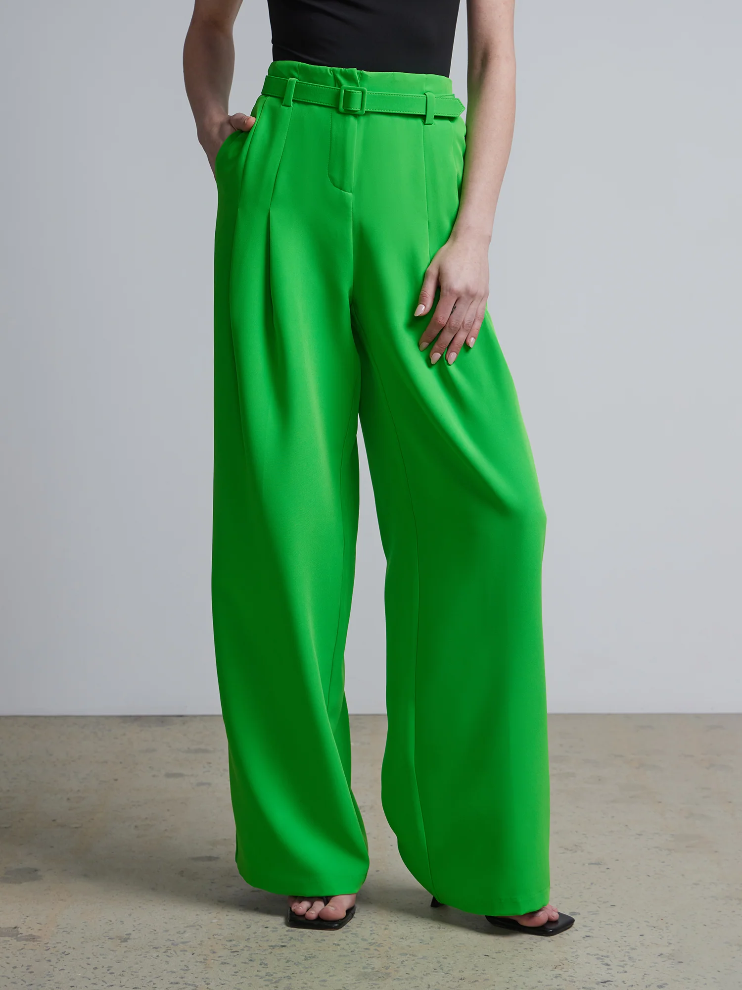 High-Waisted Belted Wide-Leg Pant