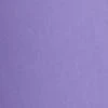 High-Waisted Pull-On Slimming Ankle Pant - 7th Avenue - Image 10