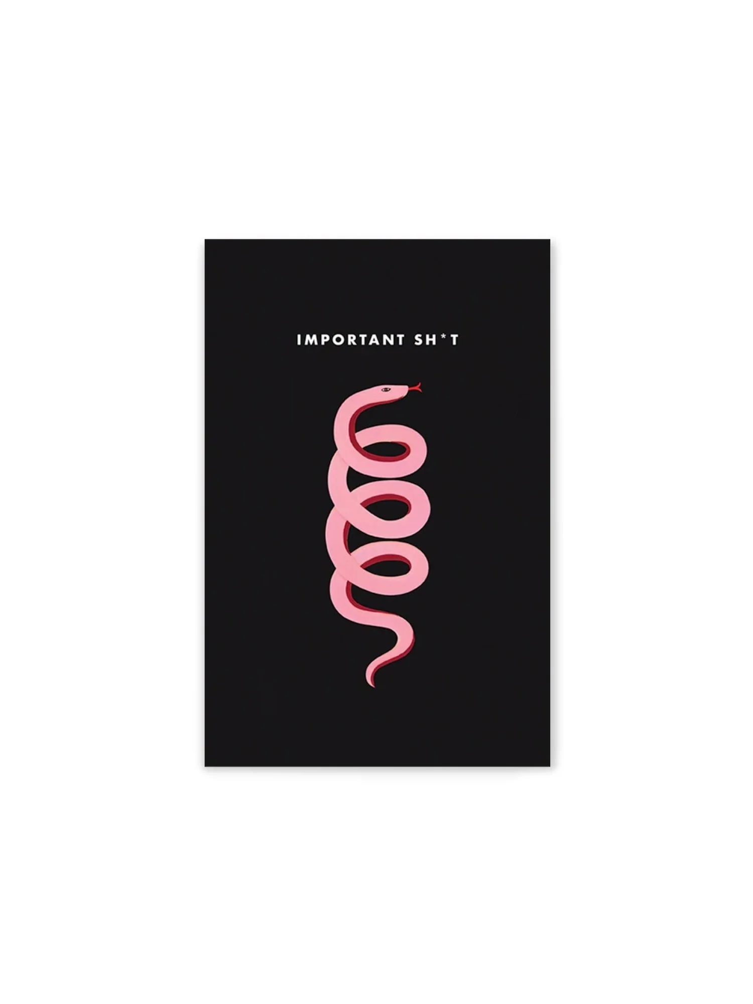 Girl With Knife Important Sh*t Mini Notebook - Brands We Love