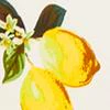 Lemon-Print Keyhole Cut-Out Top - Image 5