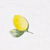 Lemon V-Neck Perfect Tee - Image 4