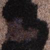 RD Style Leopard Knit Sweater - Brands We Love - Image 5