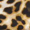 Leopard-Print Athleisure Yoga Top - Image 4