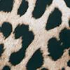 Leopard-Print Bow Blouse - Image 4