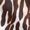 Leopard-Print Bow Blouse - 7th Avenue - Image 4