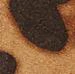 Leopard-Print Buckled Belt - Image 2