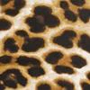 Leopard-Print Midi Dress - Everyday Collection - Image 4