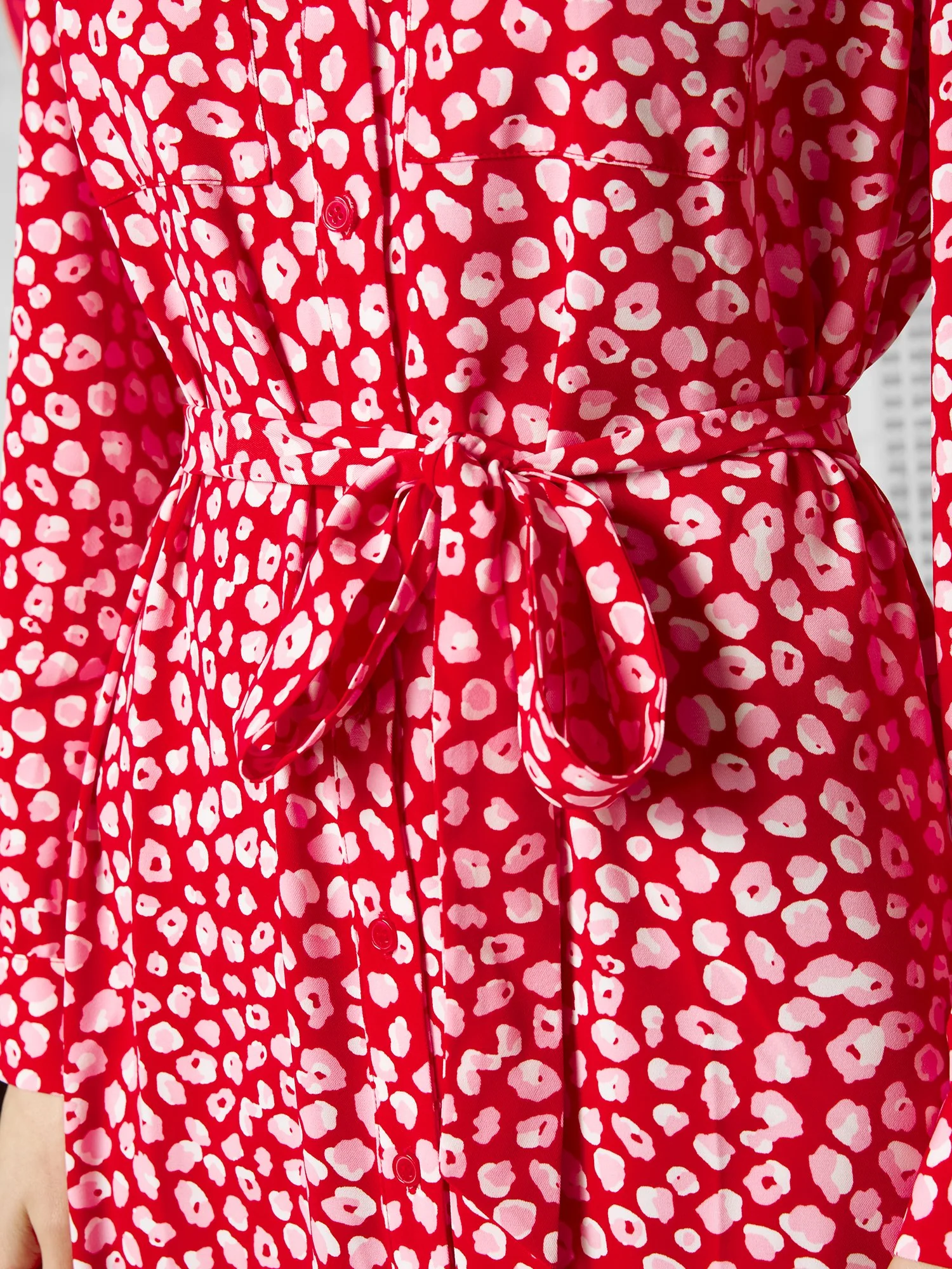 Leopard-Print Shirtdress - Image 4
