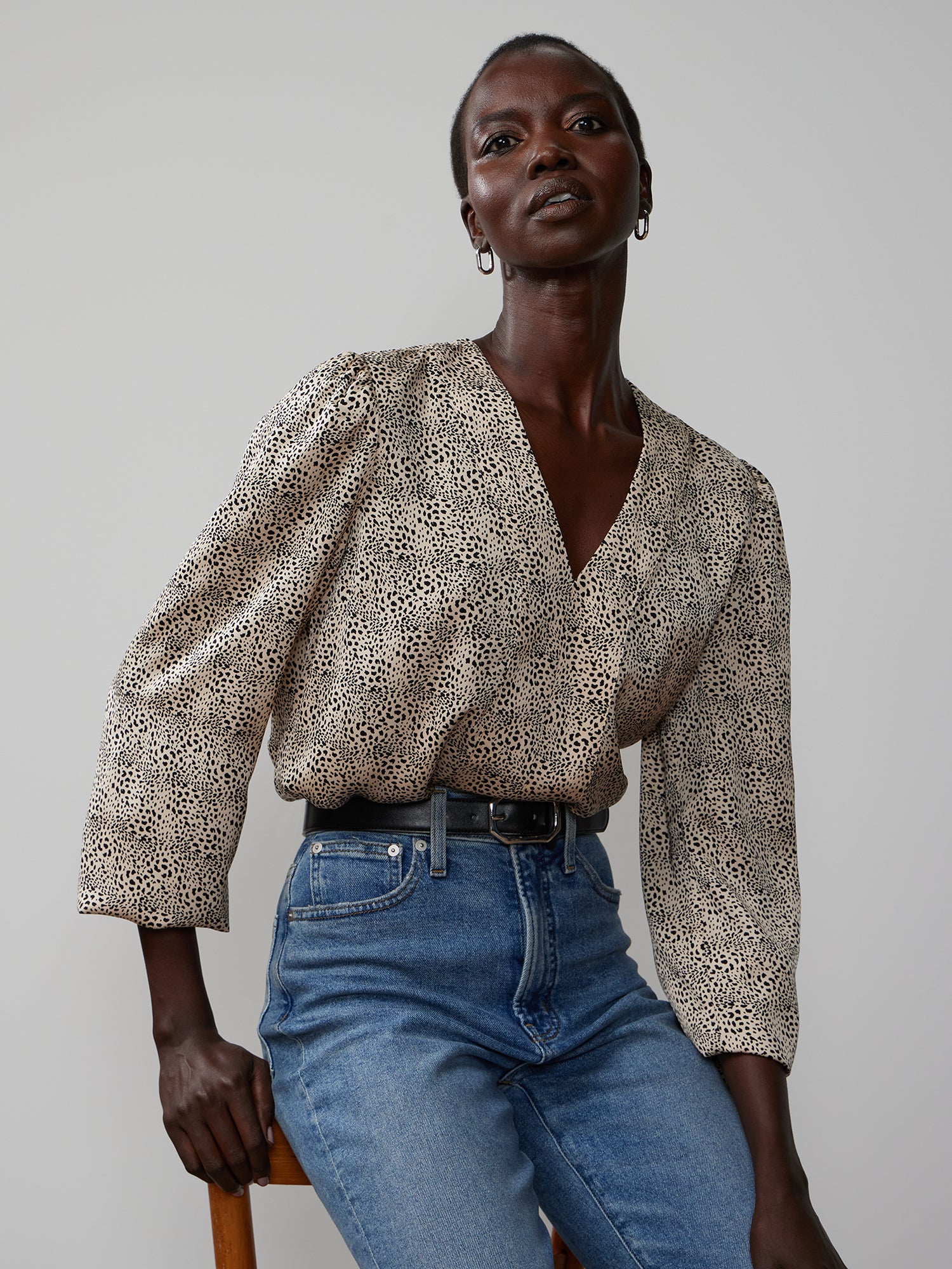 Long Sleeve V-Neck Animal Print Blouse