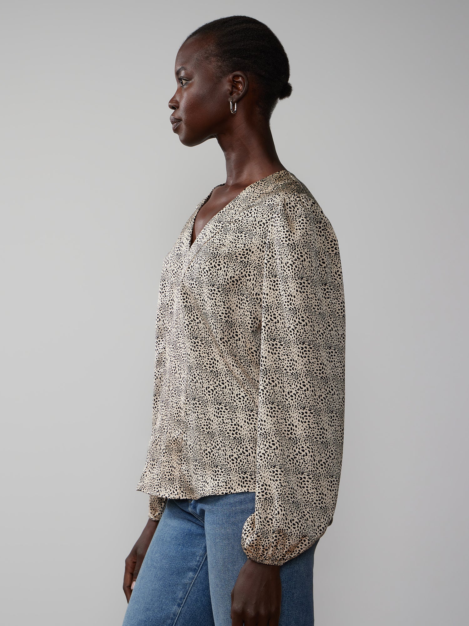 Long Sleeve V-Neck Animal Print Blouse - Image 2