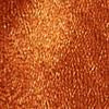 Petite Pleated Long Bermuda - Image 5