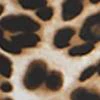 Petite Whitney High-Waisted Pull-On Slim-Leg Pant - Leopard - Image 4