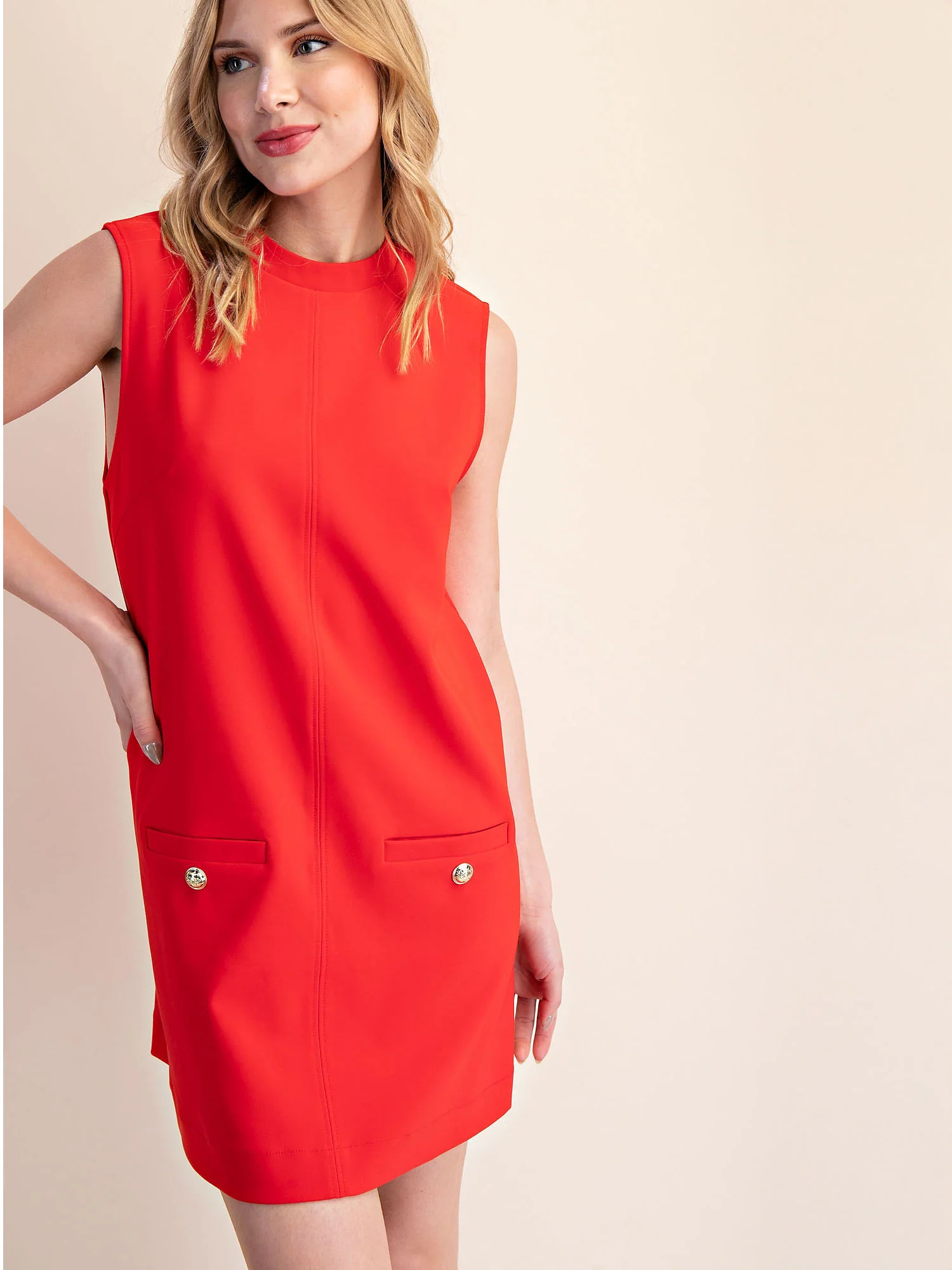 Poppy Sleeveless Two Pocket A Line Sheath Mini Dress - Image 6