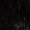 Sequin-Detail Faux-Fur Jacket - Image 5