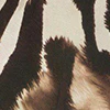 Sleeveless V Neck Abstract Animal Print Slip Gown - Image 5