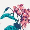 Tall Butterfly-Print Flare Dress - Image 5