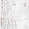 White Eyelet-Sleeve Cable Sweater - Image 4