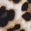Whitney High-Waisted Pull-On 11-Inch Short - Leopard - Image 3
