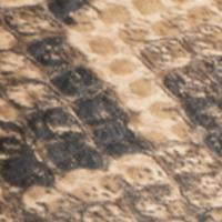 Zelia Wide Width Snakeskin Print Strappy Flats - Image 4